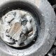 Ролик натяжителя б/у для Scania - 1