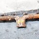 Выпускной коллектор б/у \ В сборе.